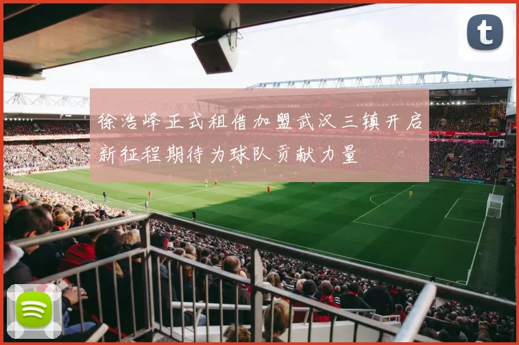 徐浩峰正式租借加盟武汉三镇开启新征程期待为球队贡献力量